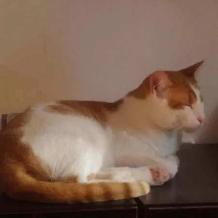 Apartment La Casita De Diana Ramales, Plaza Garaje Incluida *