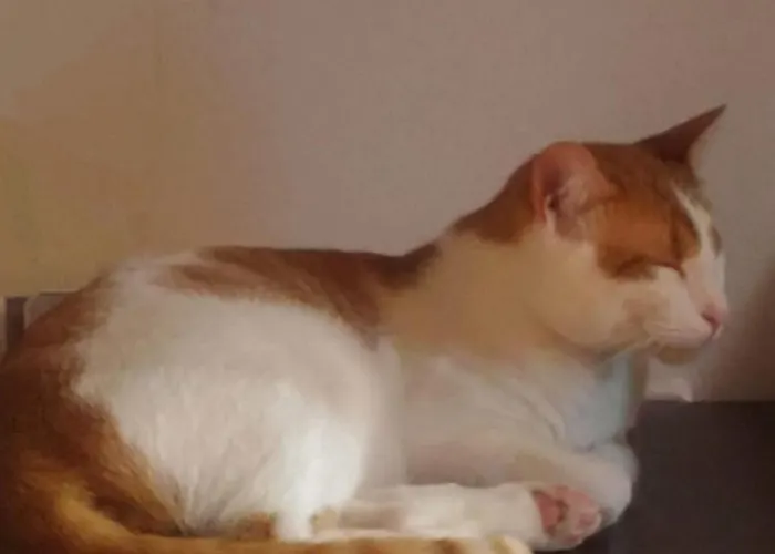 아파트 La Casita De Diana Ramales, Plaza Garaje Incluida *